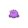 icon of the app